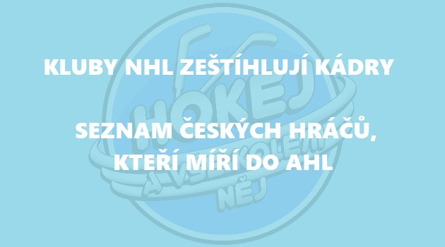  Seznam českých hráčů, kteří míří do AHL