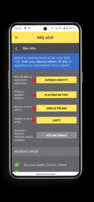 Tipsport